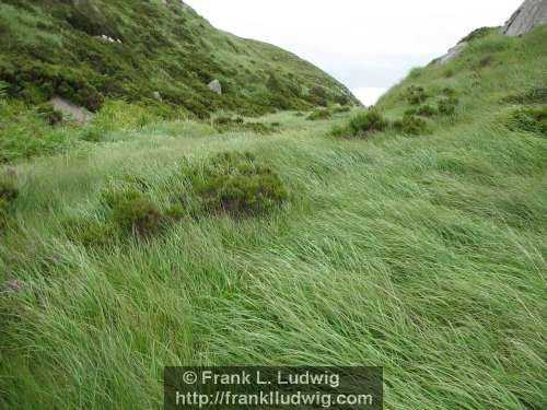 Slieve Daeane, Birds Mounatin